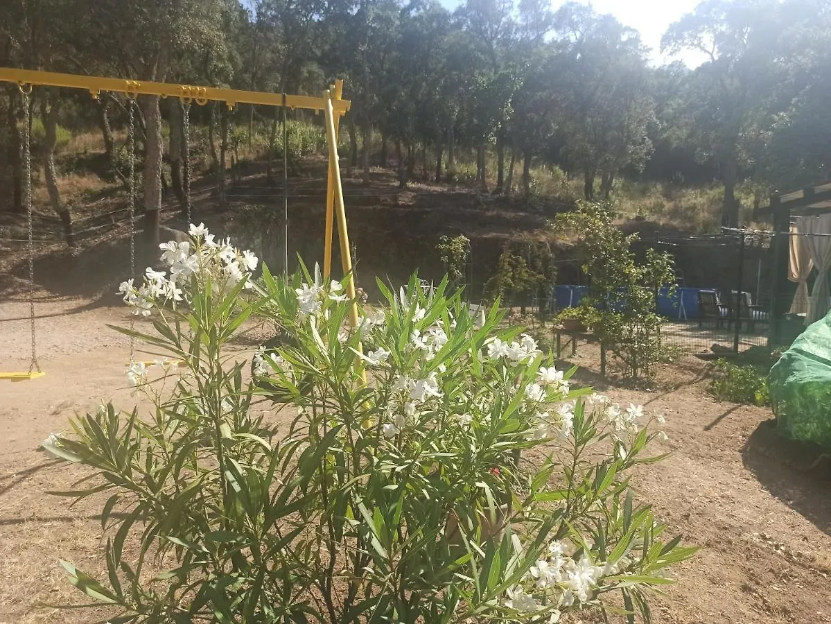 Prázdninový dům Chalet En Entorno Natural De La Costa Brava Bell-Lloc  Španělsko