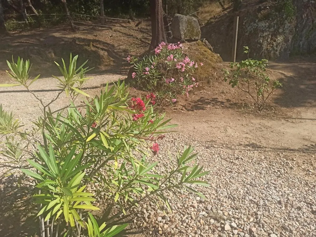 Prázdninový dům Chalet En Entorno Natural De La Costa Brava Bell-Lloc