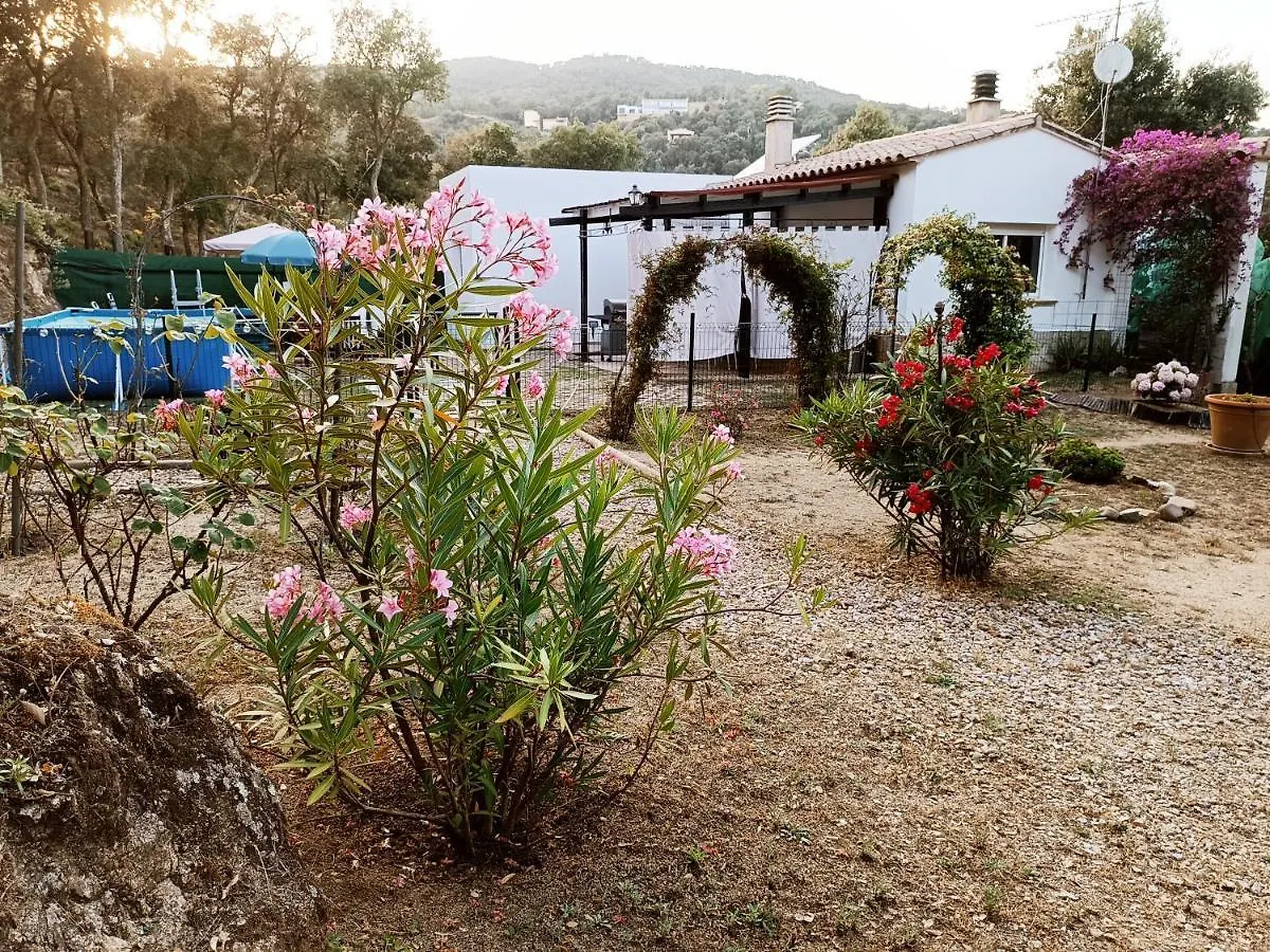 Holiday home Chalet En Entorno Natural De La Costa Brava Bell-Lloc